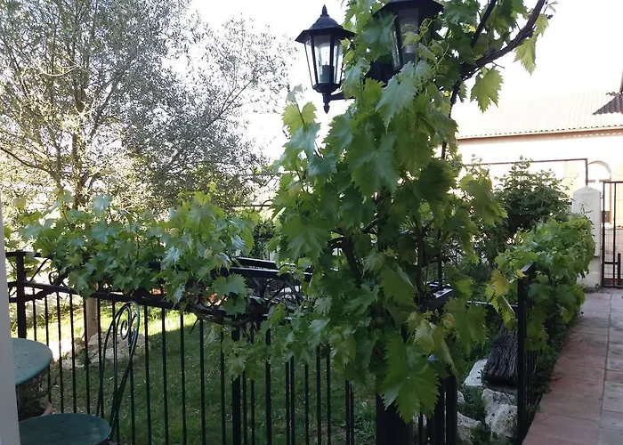 Etape Gimontoise 32 *